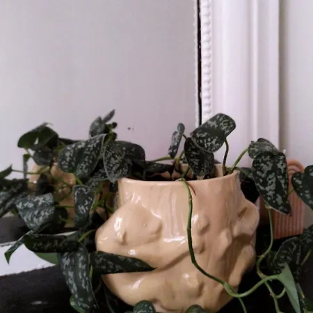 Apartamento Charming 2-room Haussmann-style In *