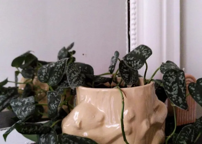 Apartamento Charming 2-room Haussmann-style In *